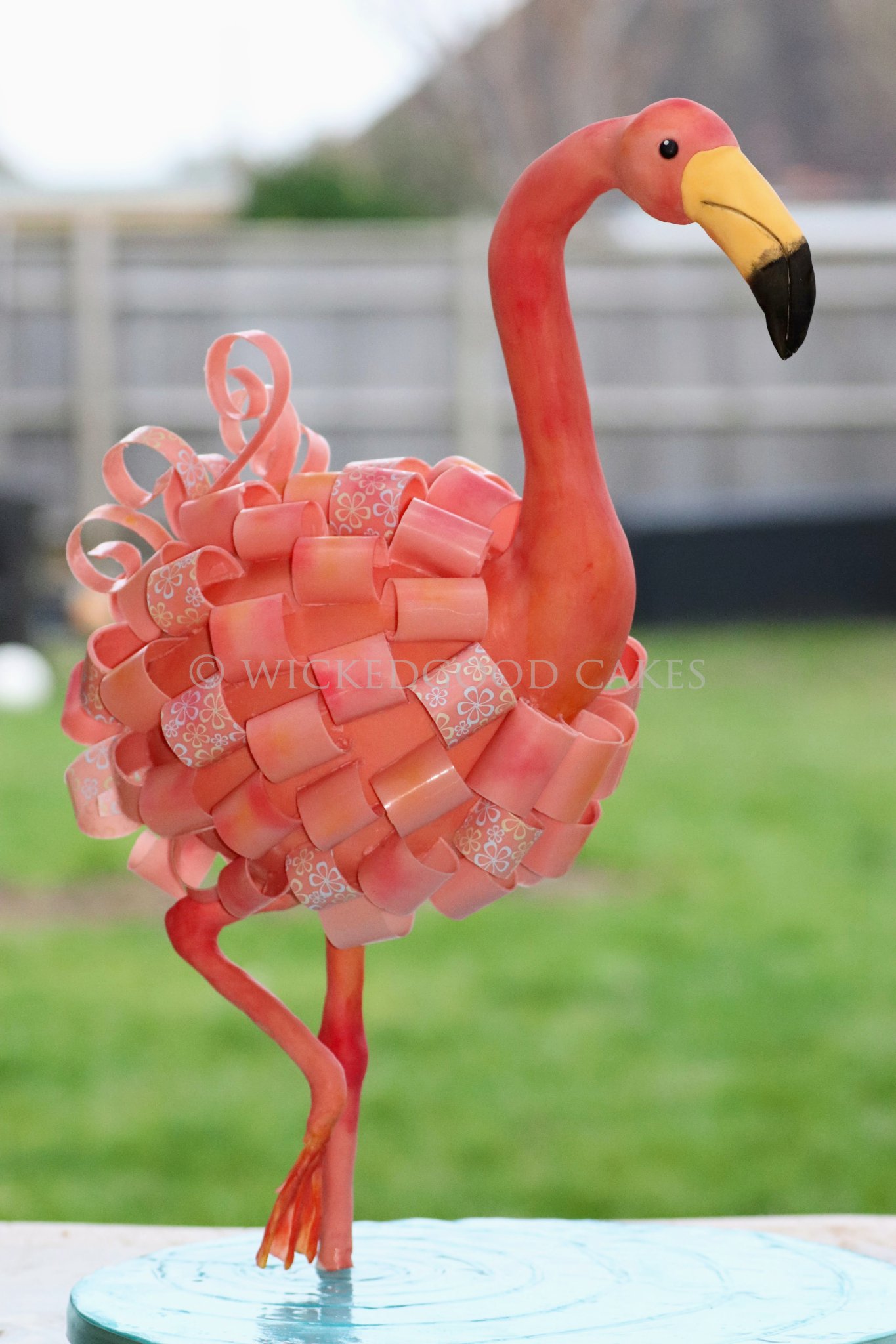 flamingo